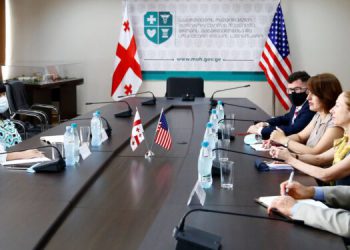 ეკატერინე ტიკარაძე აშშ-ს ელჩს კელი დეგნანს შეხვდა