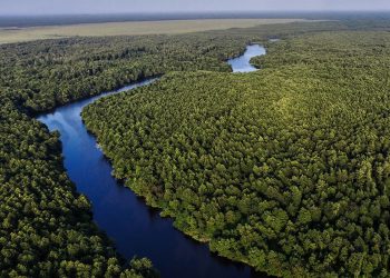 პირველად საქართველოს ისტორიაში, 4 დაცული ტერიტორია UNESCO-ს ბუნებრივი მემკვიდრეობის ნუსხაში შევიდა