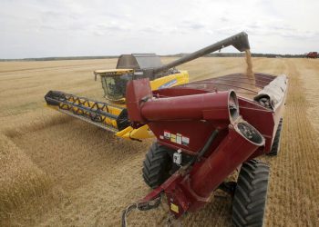 აგვისტოში FAO-ს სურსათის ფასების ინდექსი გაიზარდა, ხორბლის, შაქრისა და პალმის ზეთის ხარჯზე