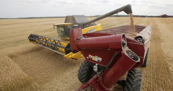 აგვისტოში FAO-ს სურსათის ფასების ინდექსი გაიზარდა, ხორბლის, შაქრისა და პალმის ზეთის ხარჯზე