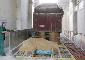 FAO-ს ფასების ინდექსი სექტემბერში ისევ გაიზარდა