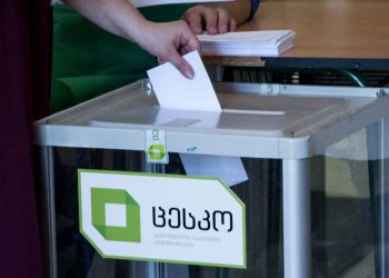 საინფორმაციო ბრიფინგი — ამომრჩეველთა აქტივობა 10:00 საათის მდგომარეობით