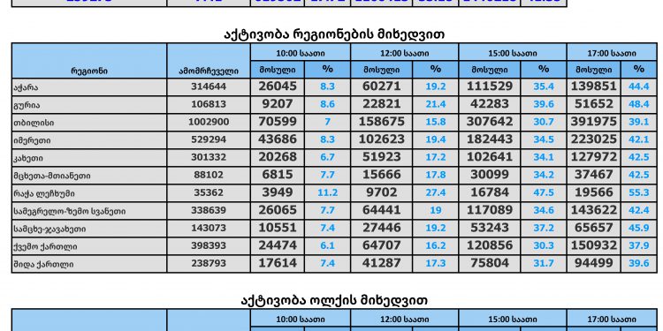 ამომრჩეველთა აქტივობა 17:00 საათის მდგომარეობით
