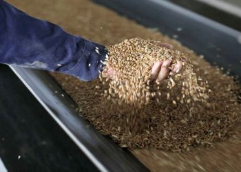 FAO-ს სურსათის ფასების ინდექსი ოქტომბერში ათწლეულის რეკორდულ ნიშნულზე ავიდა