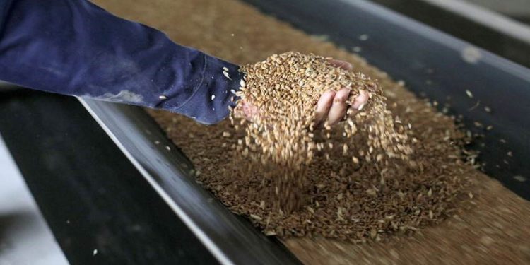 FAO-ს სურსათის ფასების ინდექსი ოქტომბერში ათწლეულის რეკორდულ ნიშნულზე ავიდა