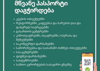 პირველი დეკემბრიდან ე.წ. მწვანე პასპორტი ამოქმედდება
