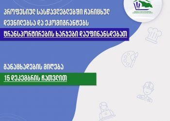 პროფესიულ სასწავლებლებში ჩარიცხულ დევნილებსა და ეკომიგრანტებს ტრანსპორტირების ხარჯები დაუფინანსდებათ