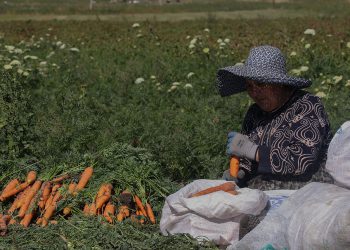 ფოტოისტორიები „რეგიონიდან“