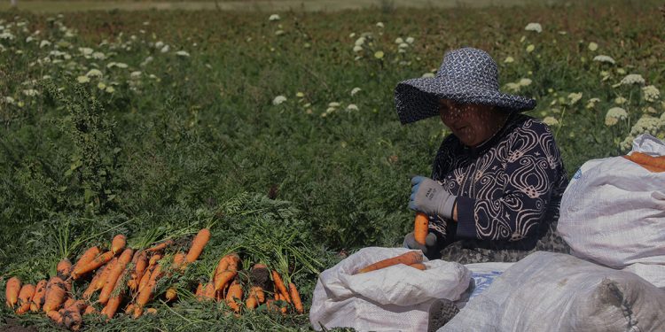 ფოტოისტორიები „რეგიონიდან“