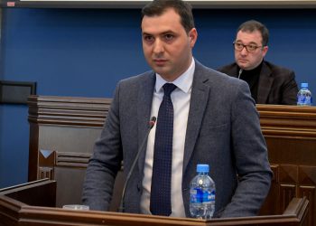 შრომის ინსპექციის სამსახურმა პარლამენტს საქმიანობის ანგარიში წარუდგინა