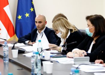 პროფესიული განვითარების საბჭომ პროფესიული პასუხისმგებლობა 14 ექიმს დააკისრა