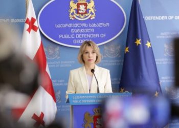 სახალხო დამცველმა ნიკა გვარამიას განაჩენთან დაკავშირებით შემოწმების შედეგები გამოაქევყნა