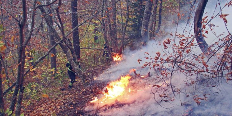 საქართველოში ხანძრების სერია გრძელდება