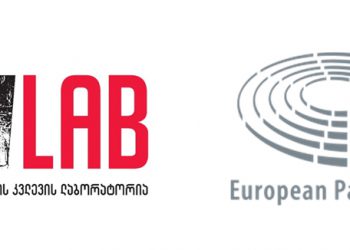 ევროპარლამენტის საგარეო კომიტეტმა სოვლაბის საქმიანობას მხარი დაუჭირა