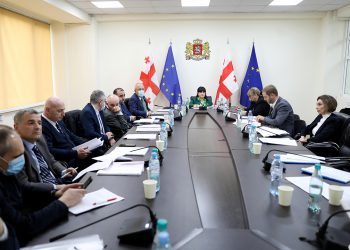 პროფესიული განვითარების საბჭომ, 7 ექიმს სახელმწიფო სერტიფიკატის მოქმედებადროებით შეუჩერა