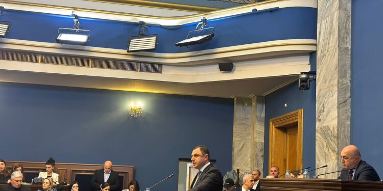 2024 წლიდან ახალგაზრდული პოლიტიკა განათლების სფეროს სისტემური ნაწილი გახდა