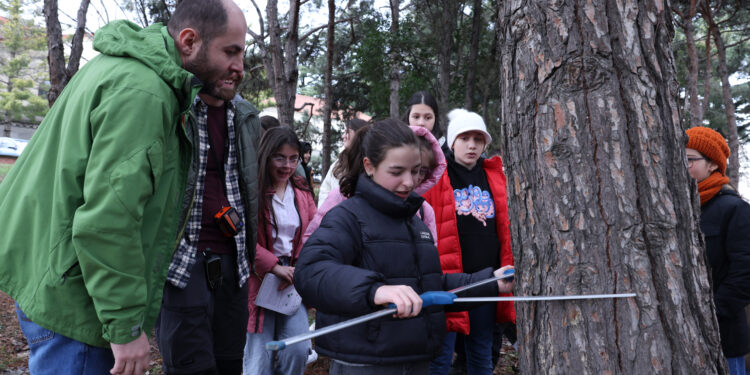 ტყის საერთაშორისო დღე