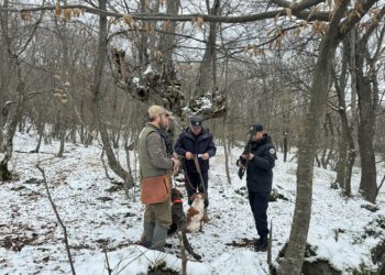 1 მარტიდან გადამფრენ ფრინველებზე ნადირობა აკრძალულია