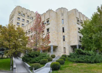 გარდაბანში, დის განზრახ მკვლელობის ფაქტზე, პროკურატურამ ძმას ბრალდება წარუდგინა