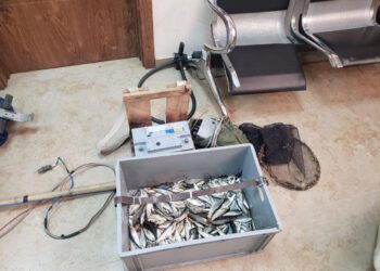 გარემოსდაცვითი ზედამხედველობის დეპარტამენტის თანამშრომლებმა 6 თვეში უკანონო თევზჭერის 332 ფაქტი გამოავლინეს