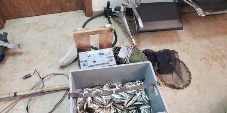 გარემოსდაცვითი ზედამხედველობის დეპარტამენტის თანამშრომლებმა 6 თვეში უკანონო თევზჭერის 332 ფაქტი გამოავლინეს