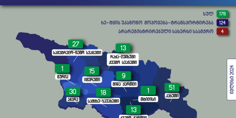 გარემოსდაცვითი ზედამხედველობის დეპარტამენტის თანამშრომლებმა ივლისში უკანონო ტყითსარგებლობის 178 ფაქტი გამოავლინეს