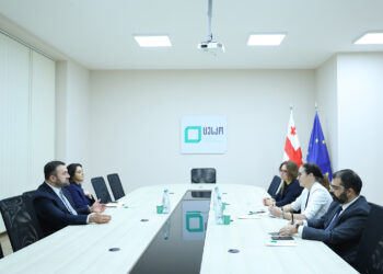 ცესკოს თავმჯდომარე საარჩევნო სისტემების საერთაშორისო ფონდის (IFES) წარმომადგენლებს შეხვდა