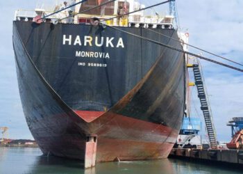 შავი ზღვის დაცვის კონვენციურმა სამმართველომ 2024 წელს 113 სამართალდარღვევა გამოავლინა