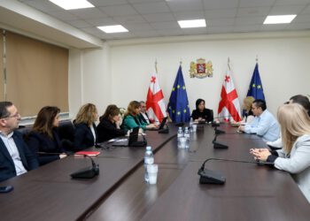 ჯანდაცვის სამინისტროში, ხანდაზმულთა და შშმ პირთა სათემო ორგანიზაციებთან შეხვედრა გაიმართა