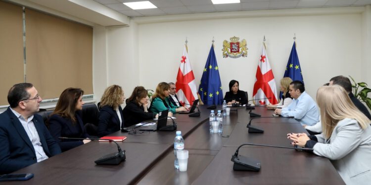 ჯანდაცვის სამინისტროში, ხანდაზმულთა და შშმ პირთა სათემო ორგანიზაციებთან შეხვედრა გაიმართა