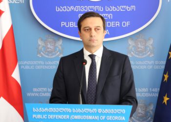სახალხო დამცველის ბრიფინგი მიმდინარე მოვლენებთან დაკავშირებით