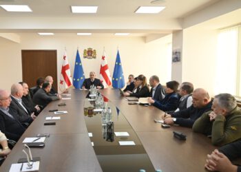 დიალიზის სერვისის განვითარების საკითხებზე ჯანდაცვის სამინისტროში შეხვედრა გაიმართა