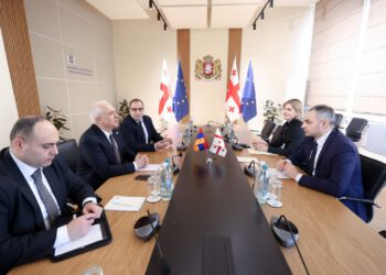 ალექსანდრე წულაძემ საქართველოში სომხეთის ელჩთან სამუშაო შეხვედრა გამართა