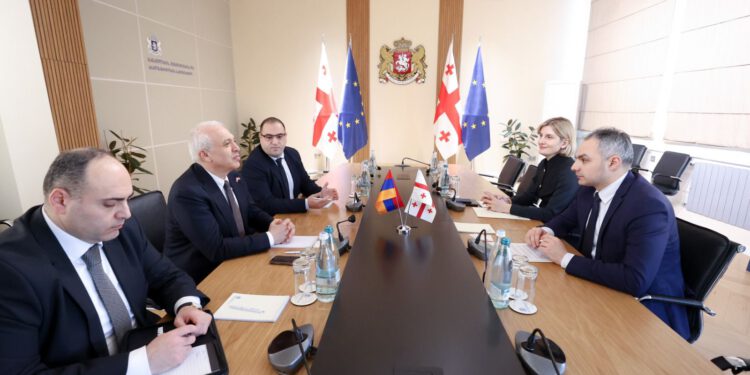 ალექსანდრე წულაძემ საქართველოში სომხეთის ელჩთან სამუშაო შეხვედრა გამართა