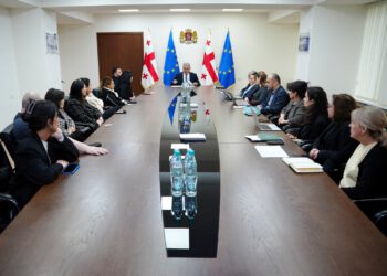 მიხეილ სარჯველაძე ცისტური ფიბროზის მქონე ბავშვების მშობლებს შეხვდა