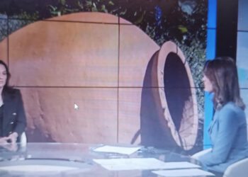 ქვევრის საერთაშორისო დღე euronews -ის გადაცემაში «ამბები დღისით»