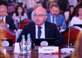 ლევან მეხუზლა: „საქართველომ ოფიციალურად წარადგინა განაცხადი, რომ 2027 წელს გახდეს OIV-ის კონგრესის მასპინძელი ქვეყანა“