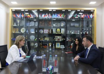 გარემოს დაცვისა და სოფლის მეურნეობის მინისტრი დავით სონღულაშვილი ბრიტანელ ღვინის მაგისტრს, სარა ებოტს შეხვდა