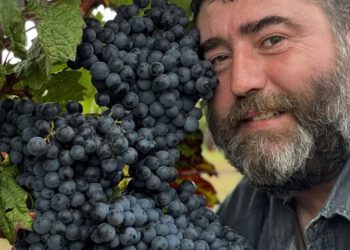 ვაზისა და ღვინის მკვლევარი გიორგი ბარისაშვილი რთველის დაწყებას ულოცავს სრულიად საქართველოს