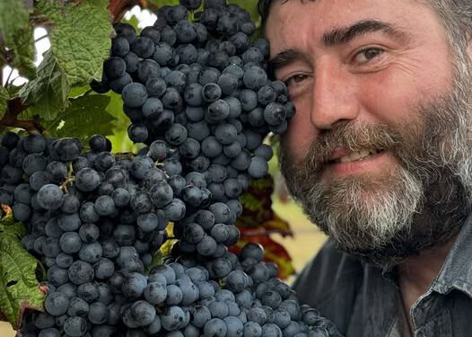 ვაზისა და ღვინის მკვლევარი გიორგი ბარისაშვილი რთველის დაწყებას ულოცავს სრულიად საქართველოს