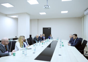 ცესკოში საერთაშორისო დამკვირვებელი ორგანიზაციების წარმომადგენლებთან შეხვედრა გაიმართა