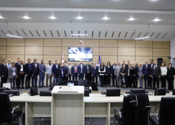 ცესკოს ხელმძღვანელი პირები სხვადასხვა ქვეყნის საარჩევნო ადმინისტრაციების წარმომადგენლებს შეხვდნენ