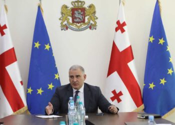 მიხეილ სარჯველაძე: “ინსულინის ხელმისაწვდომობაზე შეფერხება არ არსებობს”