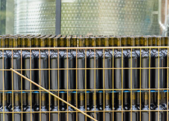 საქართველოს ღვინის სექტორის გაძლიერება ექსპორტის სტრატეგიაზე საერთაშორისო გამოცდილების გაზიარებით