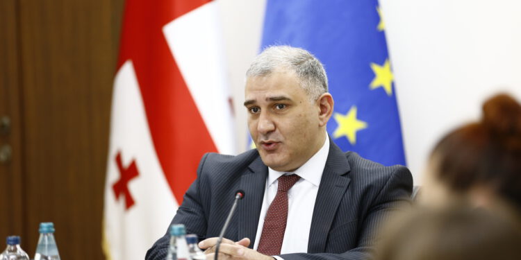 მიხეილ სარჯველაძე — „არც არასდროს შეწყვეტილა, არც ახლაა შეწყვეტილი და არც მომავალში შეწყდება ბავშვების ინსულინით უზრუნველყოფა. ყველა მშობელმა მინდა, ეს იცოდეს“