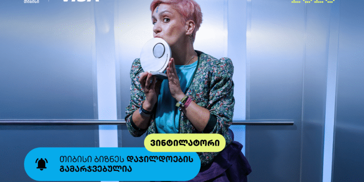 Vintylator — თიბისი ბიზნესდაჯილდოების გამარჯვებული, მწვანე ინიციატივების ხელშეწყობისთვის