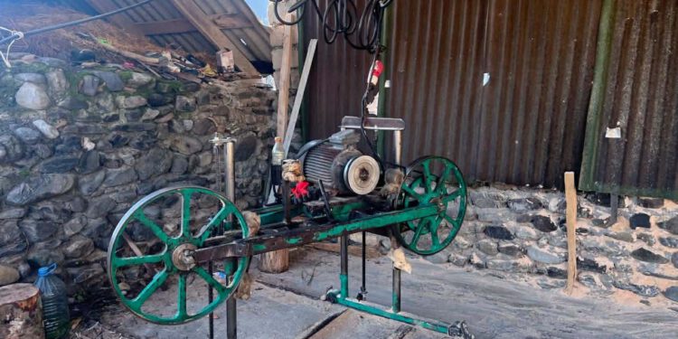 გარემოსდაცვითი ზედამხედველობის დეპარტამენტმა პანკისში უკანონო სახერხი საამქრო გამოავლინა