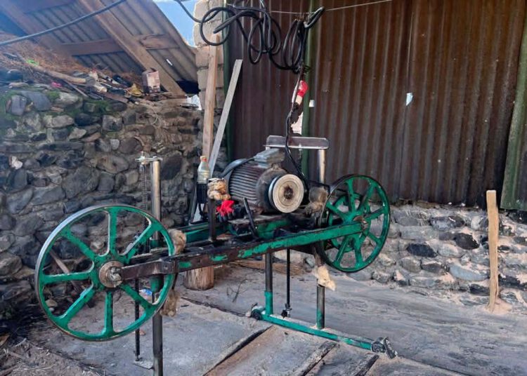 გარემოსდაცვითი ზედამხედველობის დეპარტამენტმა პანკისში უკანონო სახერხი საამქრო გამოავლინა