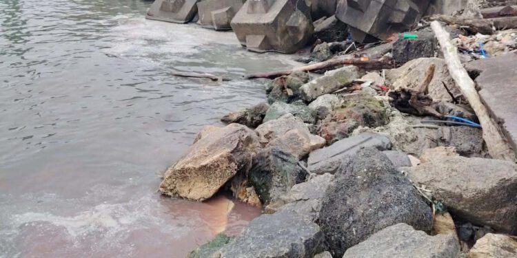 გარემოსდაცვითი ზედამხედველობის დეპარტამენტმა შავი ზღვის დაბინძურების ფაქტზე საქმისწარმოებადაიწყო