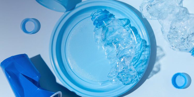 გარემოსდაცვითი ზედამხედველობის დეპარტამენტი პლასტმასის მასალებისა და ნაკეთობების რეალიზაციის ადგილების კონტროლს იწყებს